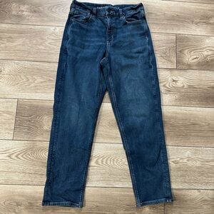American Eagle curvy mom jeans